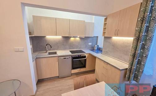 Pronájem bytu 2+kk 47 m², Sezimova, Praha 4 - Nusle