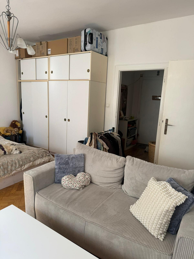 Pronájem bytu 1+1 48 m² – pohled 4