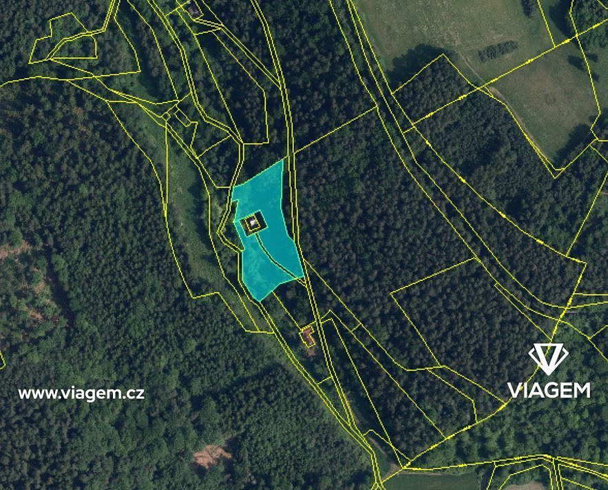 Prodej lesa 4 954 m²