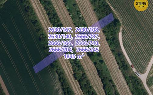 Prodej pole 3 674 m², Čejkovice, okres Hodonín