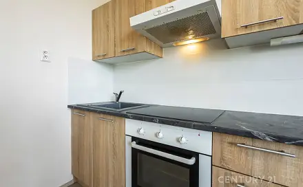 Pronájem bytu 1+1 40 m², Budišovská, Vítkov, okres Opava
