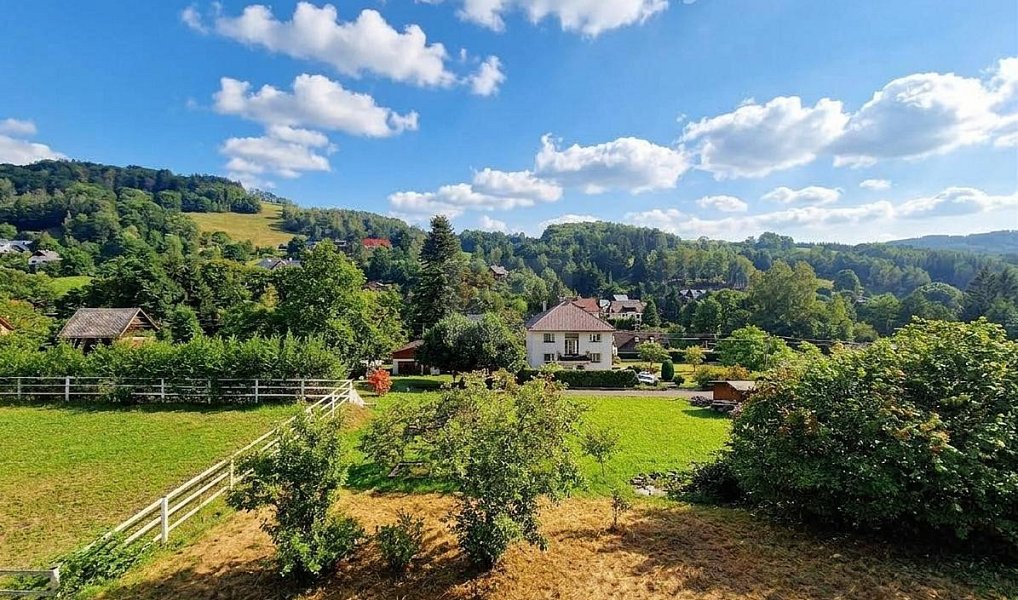 Prodej domu 400 m² s pozemkem 754 m², Zlatá Olešnice – náhled fotky 4