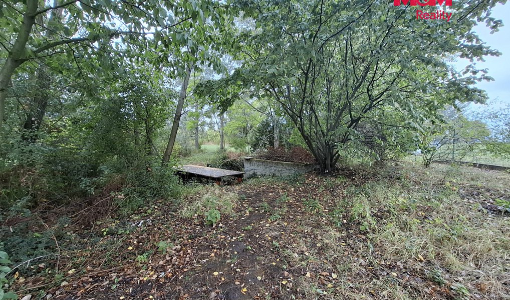 Prodej lesa 815 m², Šakvice – náhled fotky 3