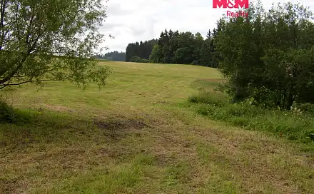 Prodej louky 4 214 m², Benecko, okres Semily