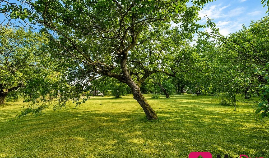 Prodej stavebního pozemku 1 465 m², Znojmo – náhled fotky 4
