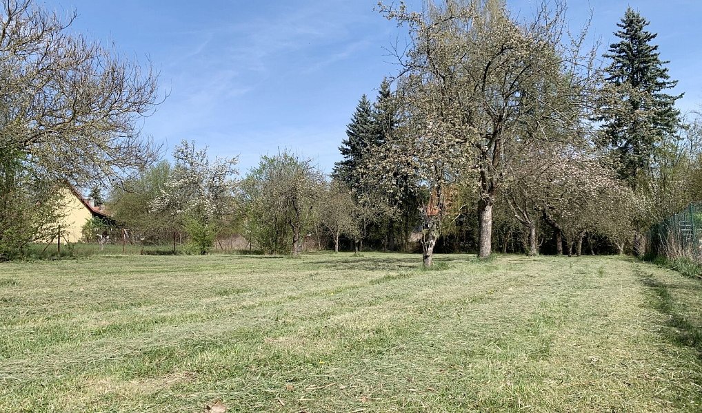 Prodej domu 90 m² s pozemkem 2 409 m², Pšovlky – náhled fotky 2