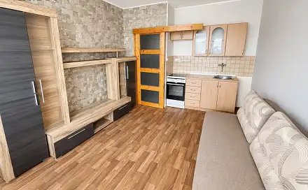 Pronájem bytu 1+kk 22 m², U Věžových domů, Most