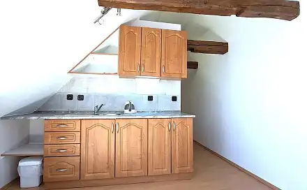 Pronájem bytu 1+kk 48 m², Benešov - Bedrč