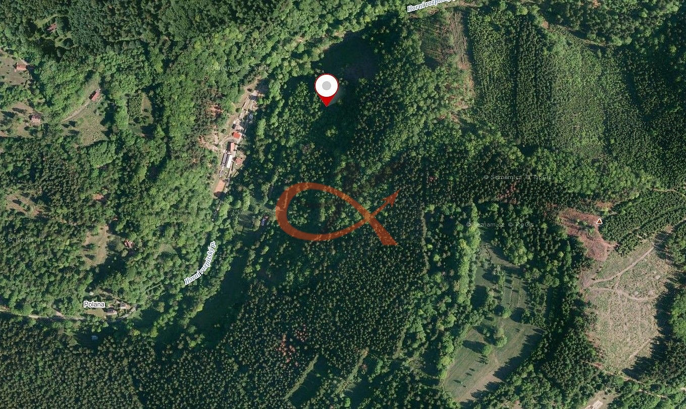 Prodej lesa 15 729 m² – pohled 2