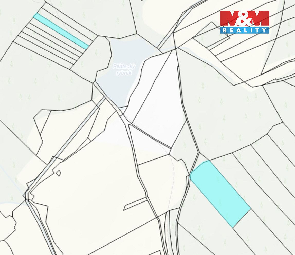 Prodej lesa 7 873 m² – fotografie 2