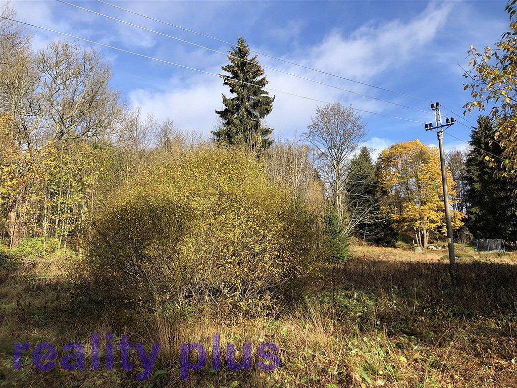 Prodej louky 3 963 m² – fotografie 4
