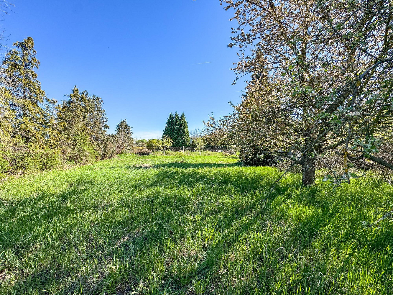 Prodej stavebního pozemku 743 m² – fotografie 4