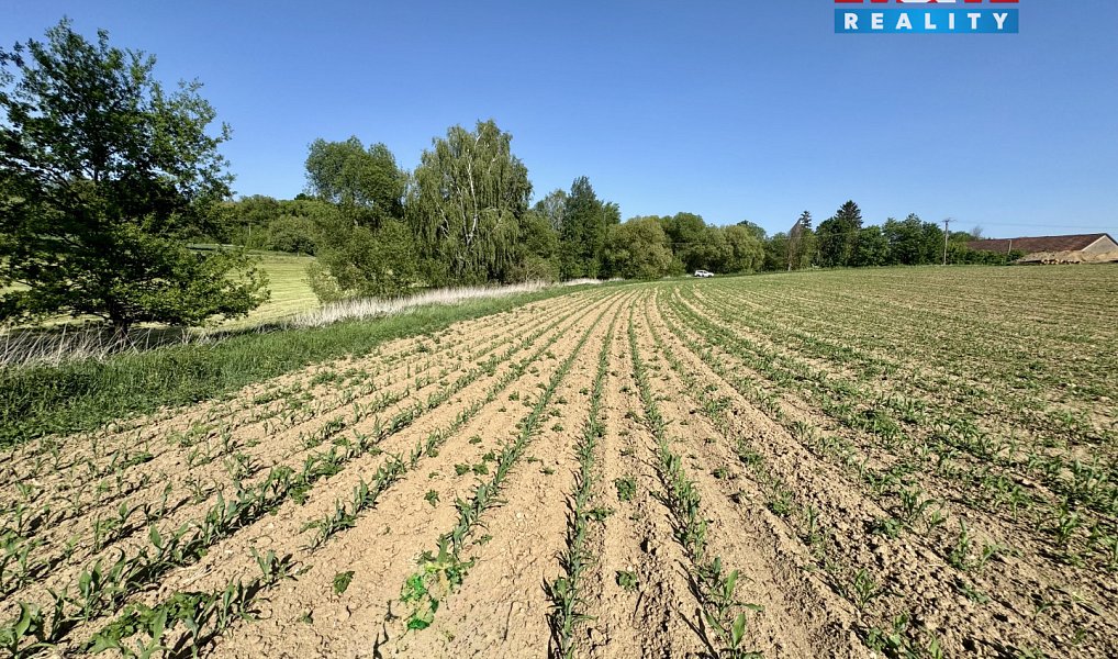 Prodej stavebního pozemku 8 618 m², Chýstovice – náhled fotky 4