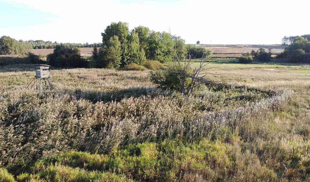 Prodej pozemku 951 m², Nesuchyně – náhled fotky 2