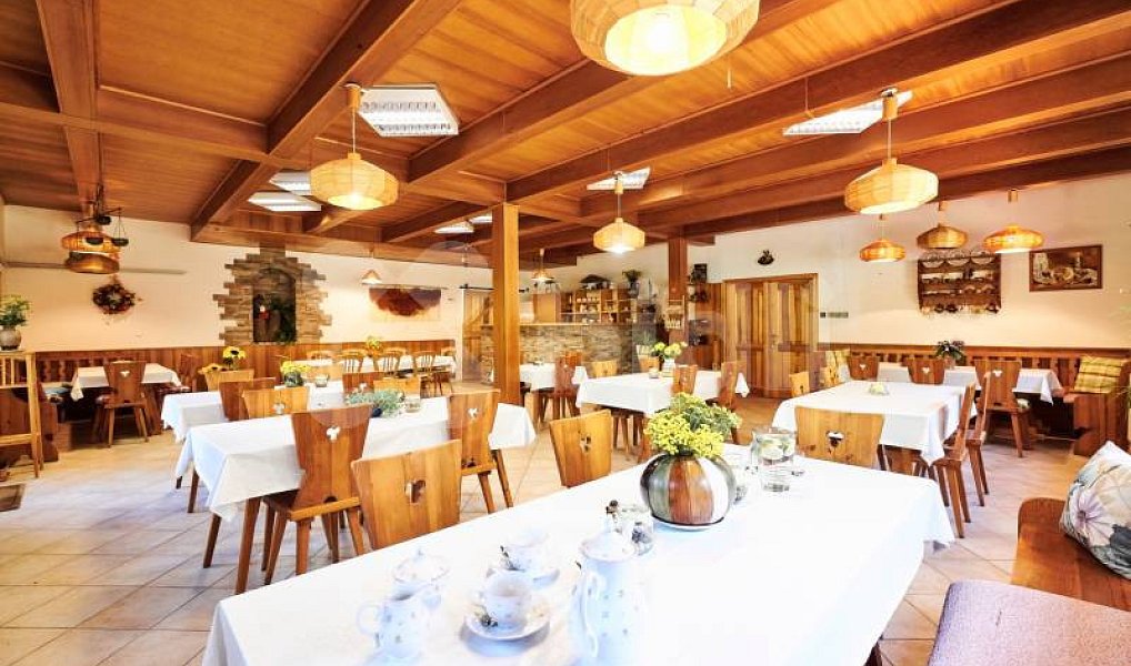 Prodej ubytovacího objektu 1 350 m², Želetava – náhled fotky 18