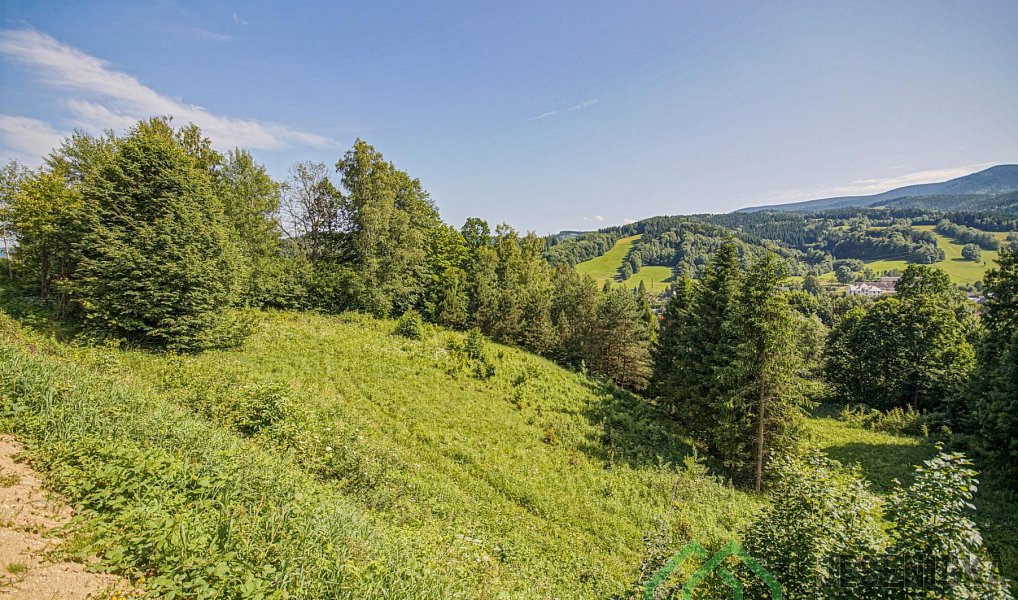 Prodej pole 12 392 m², Lipová-lázně – náhled fotky 8