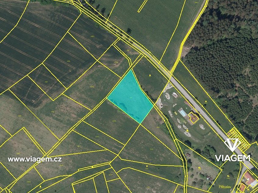 Prodej pole 1 126 m² – fotografie 3