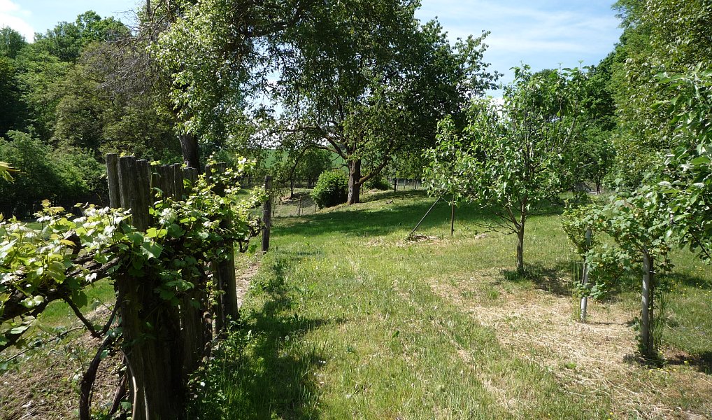 Prodej domu 90 m² s pozemkem 3 180 m², Kovčín – náhled fotky 9