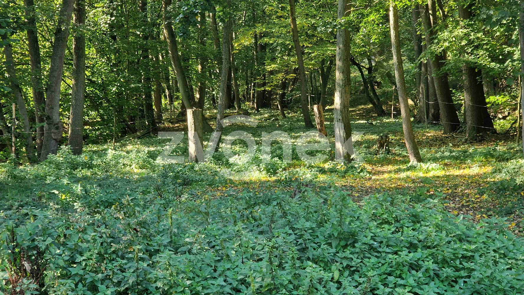 Prodej pozemku 1 620 m2, Halenkovice | Reality.iDNES.cz