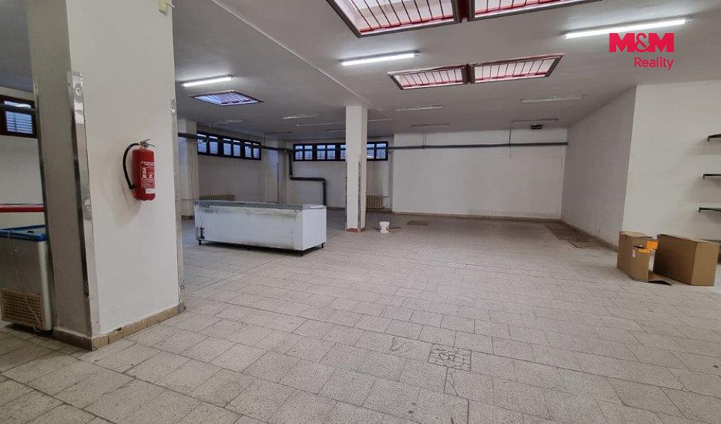 Pronájem obchodních prostor 739 m², Orlová – náhled fotky 3