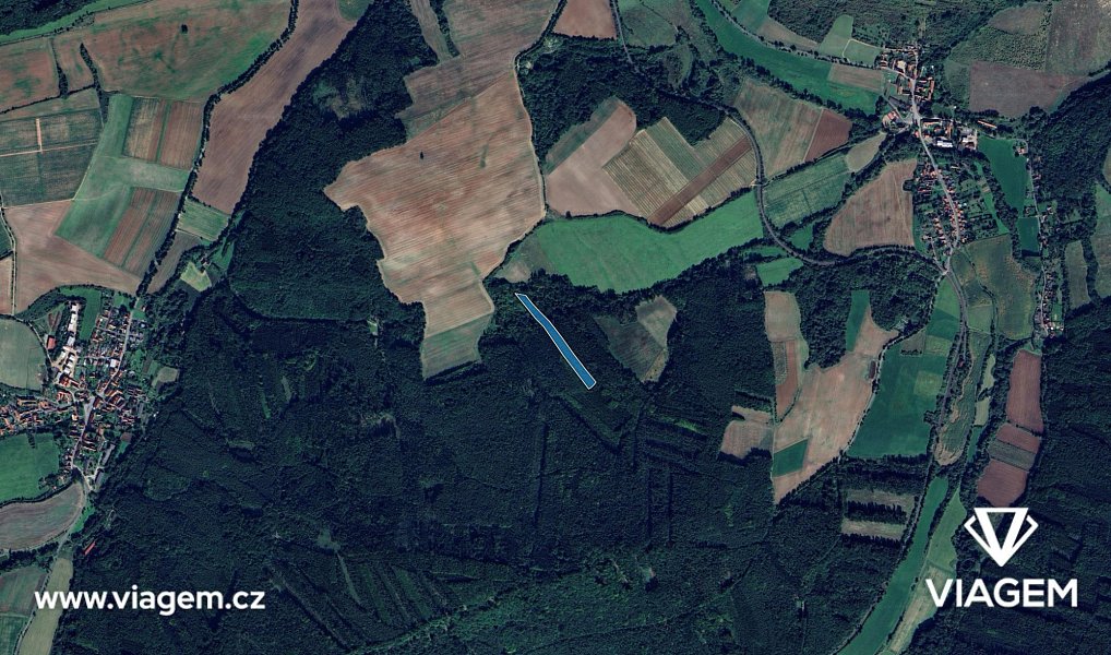 Prodej lesa 5 210 m², Pnětluky – náhled fotky 3