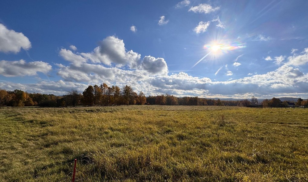 Prodej stavebního pozemku 20 638 m², Rumburk – náhled fotky 2