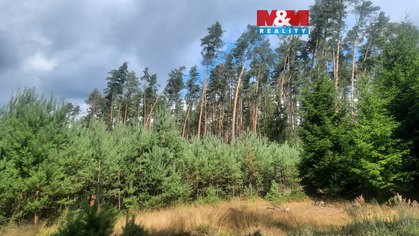 Prodej lesa 108 447 m²