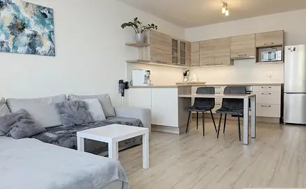 Prodej bytu 2+kk 55 m², Janského, Olomouc - Povel