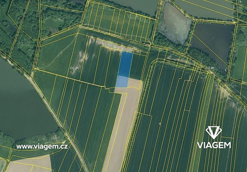 Prodej pole 934 m² – fotografie 3
