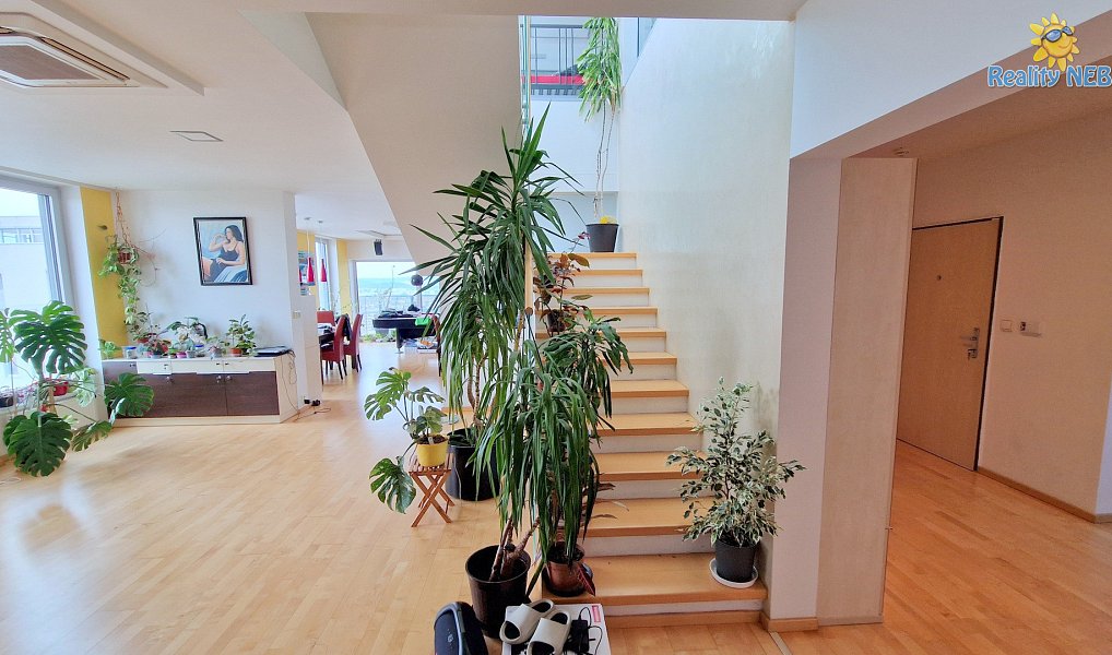 Prodej bytu 4+kk 446 m², Brno – náhled fotky 7