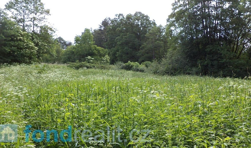 Prodej pole 3 859 m², Číměř – náhled fotky 2