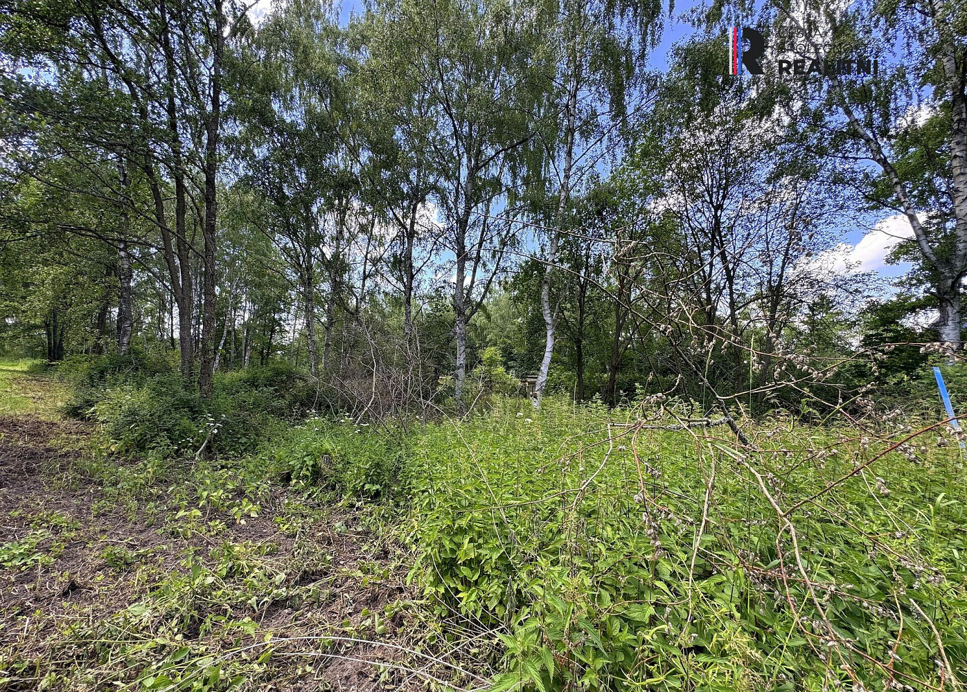 Prodej pozemku 3 000 m² – fotografie 4