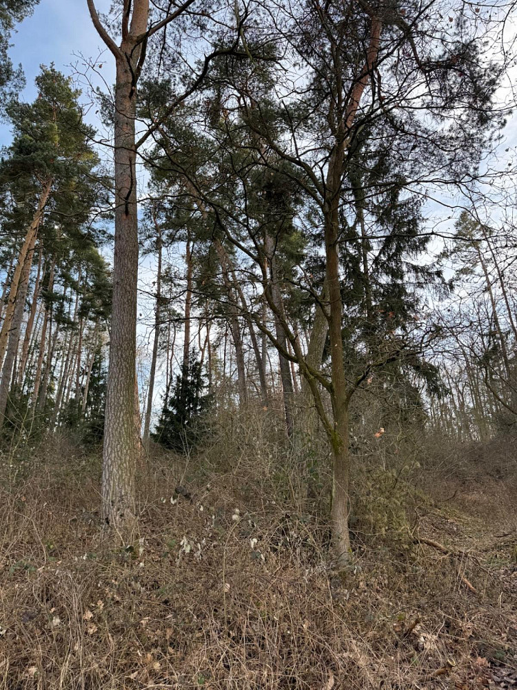 Fotka 9 z 21