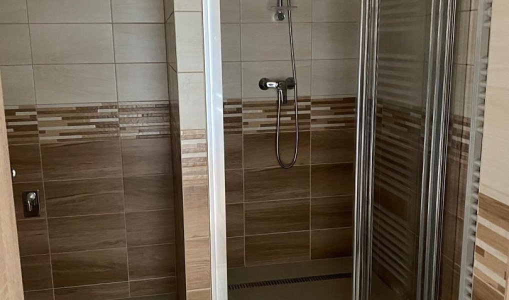 Pronájem bytu 1+1 35 m², Bruntál – náhled fotky 4