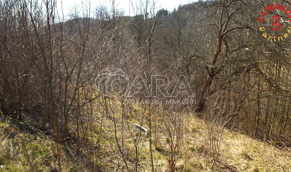Prodej stavebního pozemku 2 360 m², Březová nad Svitavou – náhled fotky 9