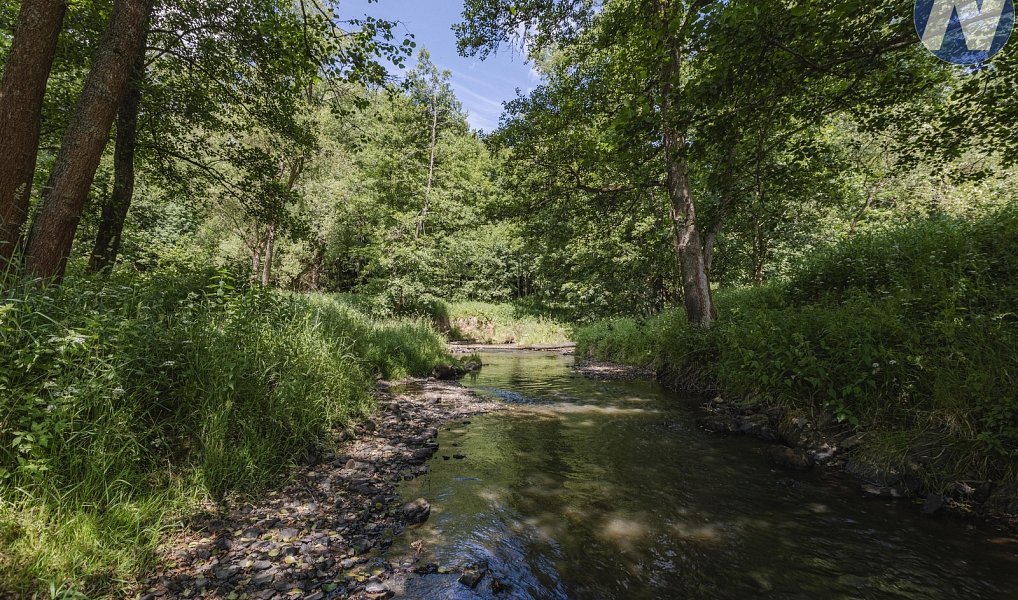 Prodej vodní plochy 1 939 m², Planá – náhled fotky 15