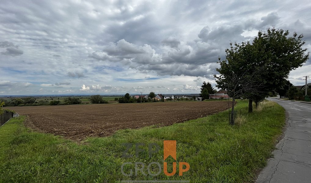 Prodej stavebního pozemku 13 343 m², Heřmanův Městec – náhled fotky 13