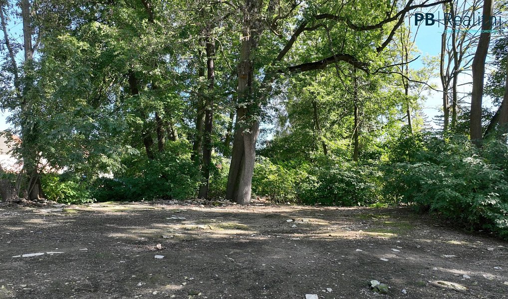 Prodej stavebního pozemku 9 180 m², Ledce – náhled fotky 11