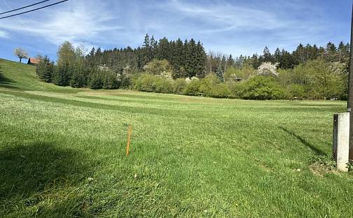 Prodej stavebního pozemku 3 156 m², Nová Paka - Zlámaniny, okres Jičín