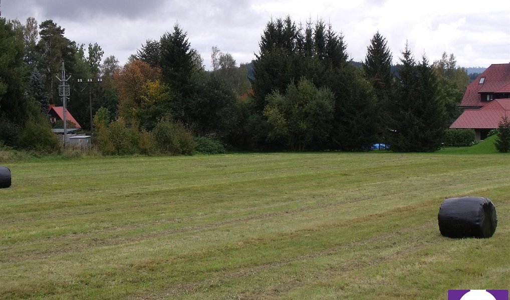 Prodej pozemku 3 860 m², Horní Planá – náhled fotky 6