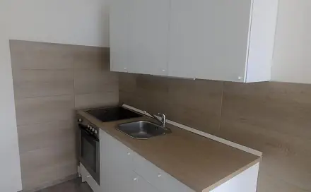 Pronájem bytu 1+kk 31 m², Dr. Horákové, Ústí nad Labem - Krásné Březno