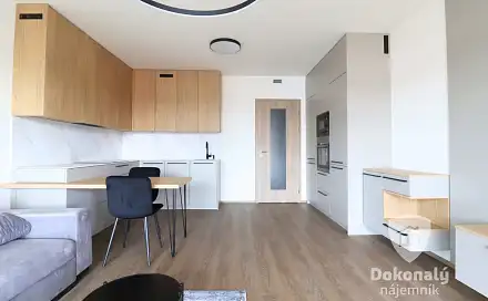 Pronájem bytu 1+kk 42 m²