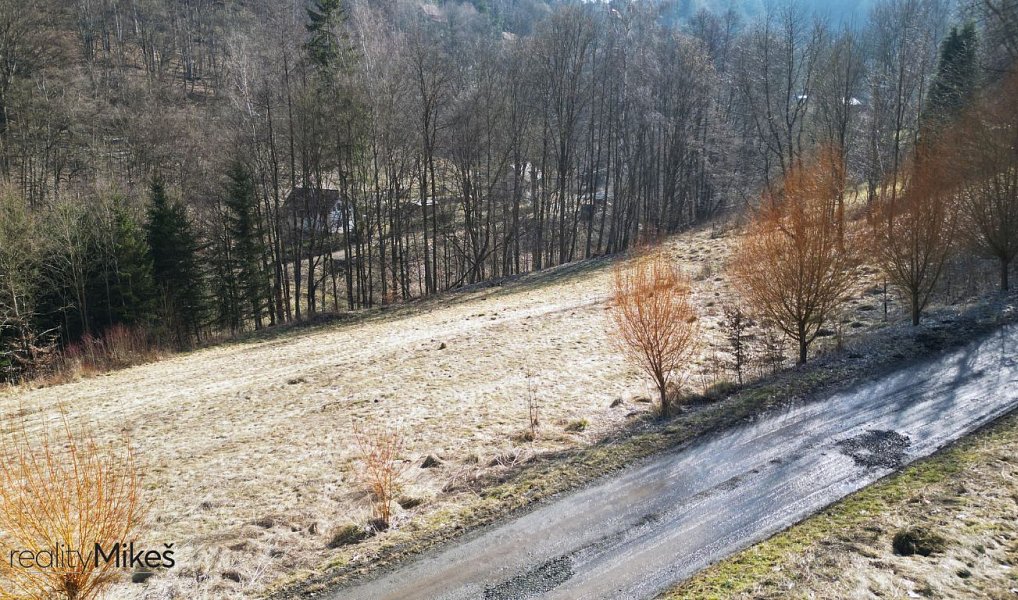 Prodej louky 4 168 m², Železný Brod – náhled fotky 2