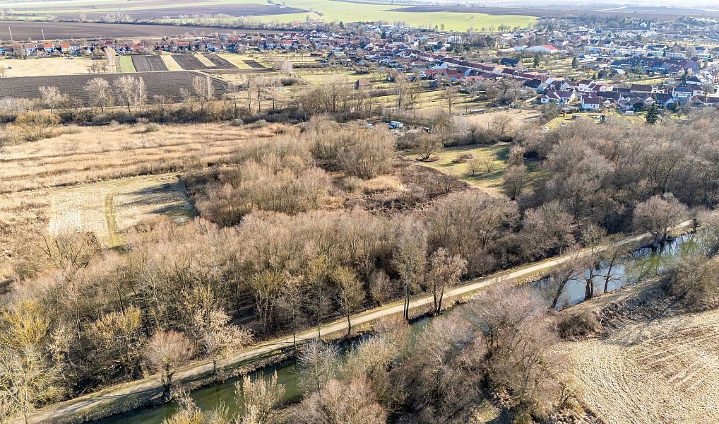 Prodej zahrady 4 647 m², Strážnice – náhled fotky 6