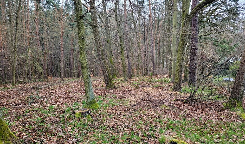 Prodej stavebního pozemku 1 246 m², Chyňava – náhled fotky 6