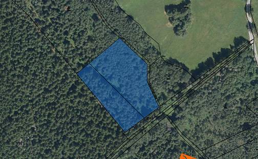 Prodej lesa 2 269 m², Chlumětín, okres Žďár nad Sázavou