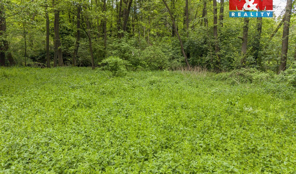 Prodej lesa 491 m², Červené Pečky – náhled fotky 9
