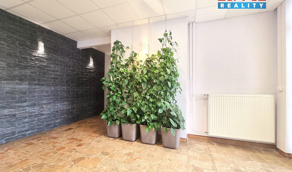 Pronájem kanceláře 18 m², Hodonín – náhled fotky 9