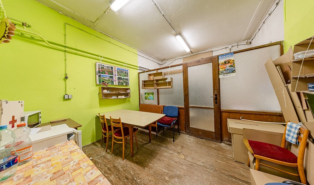 Pronájem výrobních prostor 230 m², Uherský Ostroh – náhled fotky 10