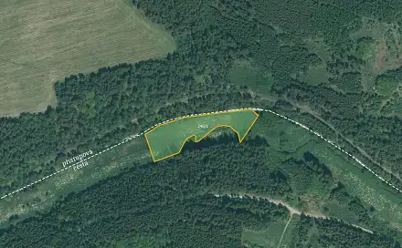 Prodej louky 4 514 m², Bor - Skviřín, okres Tachov